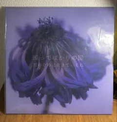 2026年最新】君のために生きていくね 踊ってばかりの国の人気アイテム