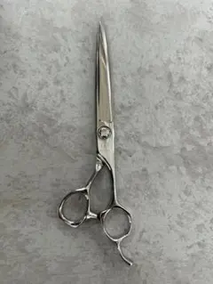 2026年最新】ミズタニ ソリッドの人気アイテム - メルカリ