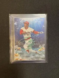 2026年最新】衣笠祥雄 サイン カードの人気アイテム - メルカリ