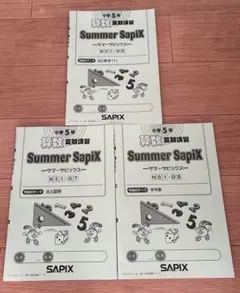 2026年最新】サマーサピックス 算数の人気アイテム - メルカリ