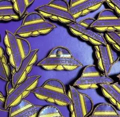 2026年最新】ウンコツアタッカーの人気アイテム - メルカリ