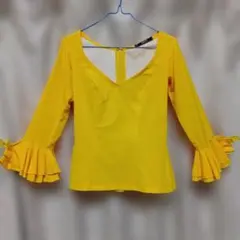 2026年最新】フラメンコブラウスの人気アイテム - メルカリ