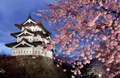 2026年最新】リントスルの人気アイテム - メルカリ