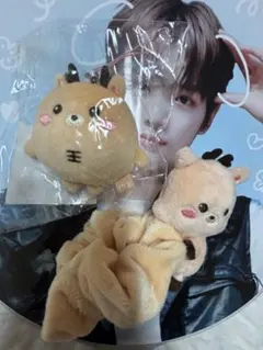 2026年最新】RIIZE ソンチャン シュシュの人気アイテム - メルカリ