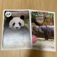 2026年最新】王子動物園 habatakiの人気アイテム - メルカリ