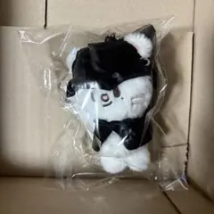 2026年最新】stray kids ヒョンジン ぬいぐるみの人気アイテム - メルカリ