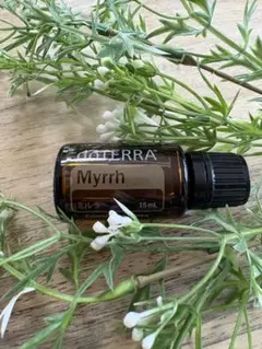 2026年最新】ドテラ ミルラの人気アイテム - メルカリ