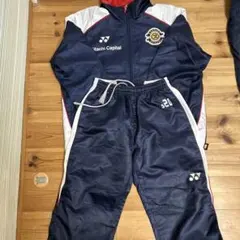 2026年最新】レイソル ピステの人気アイテム - メルカリ