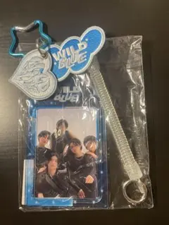 2026年最新】WILD blue グッズの人気アイテム - メルカリ