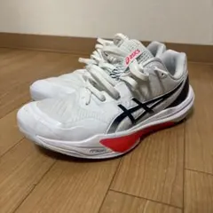 2026年最新】スカイエリートff3 26.5の人気アイテム - メルカリ