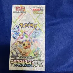 2026年最新】シュリンク テラスタルフェスの人気アイテム - メルカリ