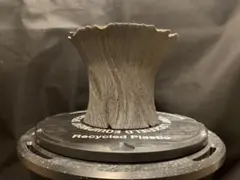 2026年最新】earnest hearts アーネストハーツ鉢の人気アイテム - メルカリ