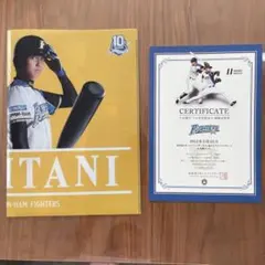 2026年最新】日本ハム 大谷 観戦証明書の人気アイテム - メルカリ