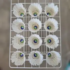 2026年最新】バドミントンシャトルニューオフィシャルの人気アイテム