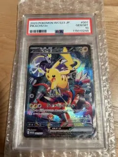 2026年最新】ポケモンワールドチャンピオンシップス2023横浜の人気