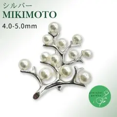 2026年最新】幸福の木 ミキモトの人気アイテム - メルカリ