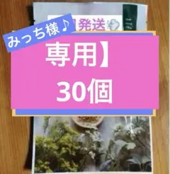 2026年最新】ファインハーブの人気アイテム - メルカリ