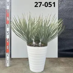 2026年最新】ロストラータ ブルーの人気アイテム - メルカリ