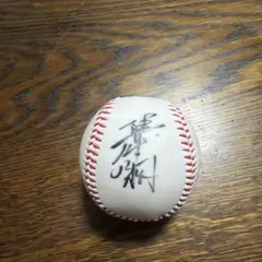 2026年最新】陽岱鋼 直筆の人気アイテム - メルカリ