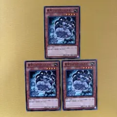 2026年最新】素早いビッグハムスターの人気アイテム - メルカリ