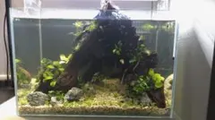 2026年最新】アクアスカイ451の人気アイテム - メルカリ