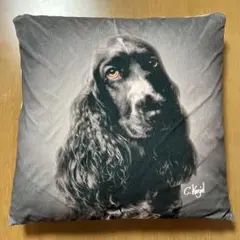 2026年最新】スパニエルクッションカバーの人気アイテム - メルカリ