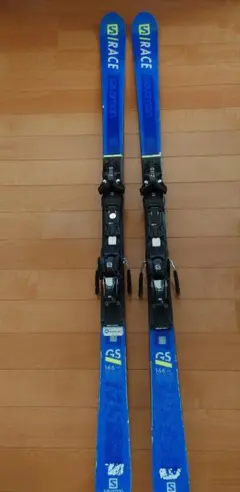 2026年最新】salomon gsの人気アイテム - メルカリ