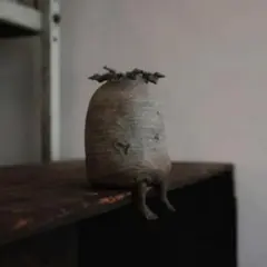 2026年最新】オズワート ozwrtの人気アイテム - メルカリ