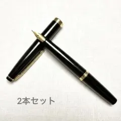 2026年最新】パイロット elite 18kの人気アイテム - メルカリ