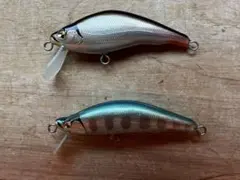 2026年最新】シンドラー ルアーの人気アイテム - メルカリ