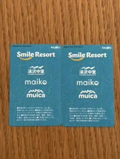 2026年最新】舞子スノーリゾート リフト券の人気アイテム - メルカリ