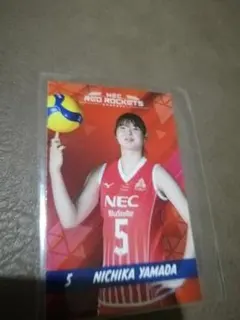 2026年最新】NECレッドロケッツ 山田二千華の人気アイテム - メルカリ