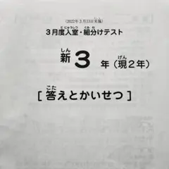 2026年最新】sapix 入室テスト 新2年の人気アイテム - メルカリ