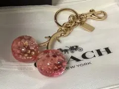 2026年最新】コーチ キーホルダー チェリーの人気アイテム - メルカリ