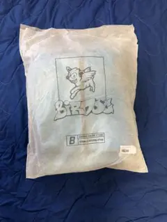 2026年最新】Birdog セットアップの人気アイテム - メルカリ