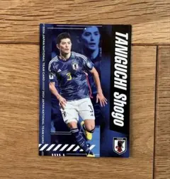 2026年最新】谷口彰悟の人気アイテム - メルカリ