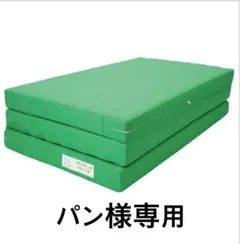 2026年最新】ヘルスウェーブ マットの人気アイテム - メルカリ