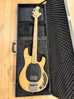 2026年最新】ミュージックマン ハードケースの人気アイテム - メルカリ