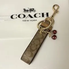 2026年最新】コーチ キーホルダー チェリーの人気アイテム - メルカリ