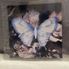 2026年最新】aimer サインの人気アイテム - メルカリ