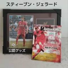 未開封レア FT CHAMPS 12インチ（約30cm）スティーブン・ジェラード