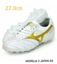 2026年最新】モレリア2japanゴールドの人気アイテム - メルカリ