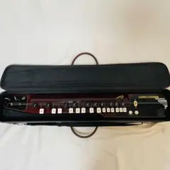 2026年最新】大正琴 ベースの人気アイテム - メルカリ