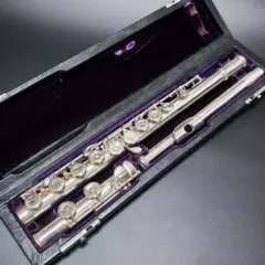 2026年最新】フルート マテキの人気アイテム - メルカリ