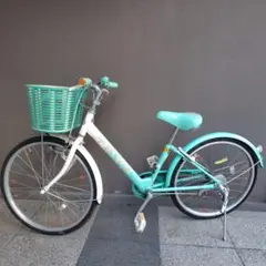 2026年最新】ブリヂストン エコパルの人気アイテム - メルカリ