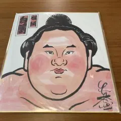 2026年最新】白鵬 サインの人気アイテム - メルカリ