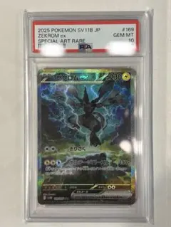 2026年最新】ゼクロムex SARの人気アイテム - メルカリ