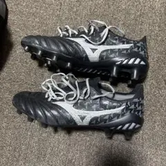 2026年最新】モレリアネオ3β 27の人気アイテム - メルカリ