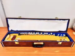 2026年最新】大正琴 ケースの人気アイテム - メルカリ