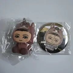 2026年最新】岩谷翔吾 着ぐるみの人気アイテム - メルカリ